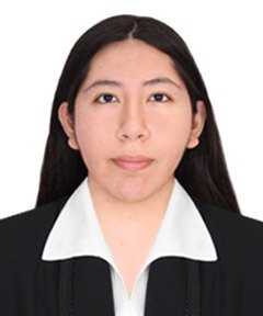 Gabriela Alejandra Villanueva Caceres